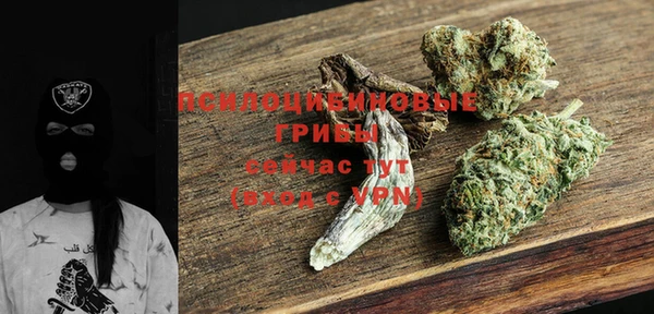 ECSTASY Медвежьегорск