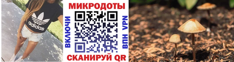 Псилоцибиновые грибы мицелий Ессентуки